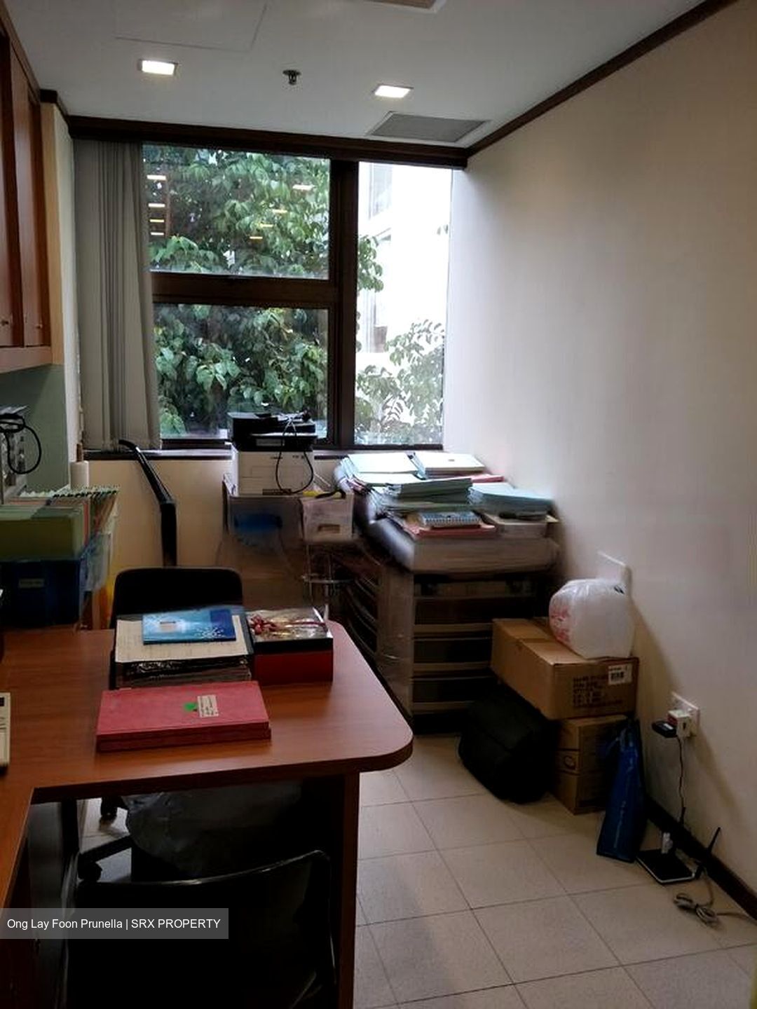 Gleneagles Hospital (D10), Retail #455602821
